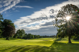 Read more about the article The Palmer North @ The ‘K’ Club